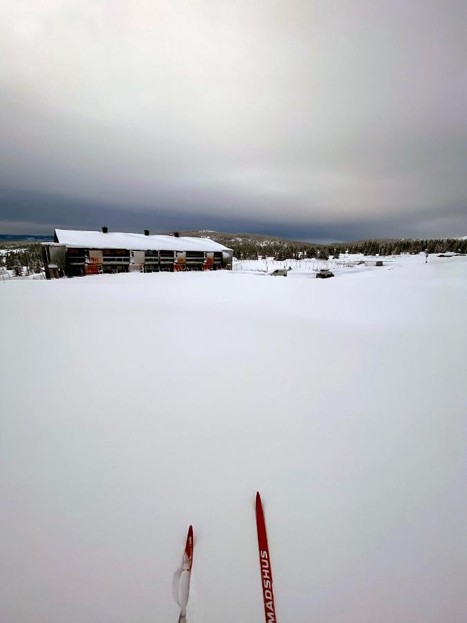 Nordseter Ski Lodge: Modern Apartment with Scenic Trail Access Exterior photo